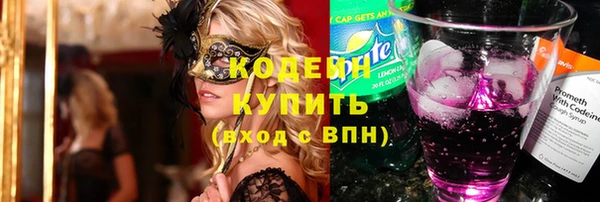 спиды Бородино