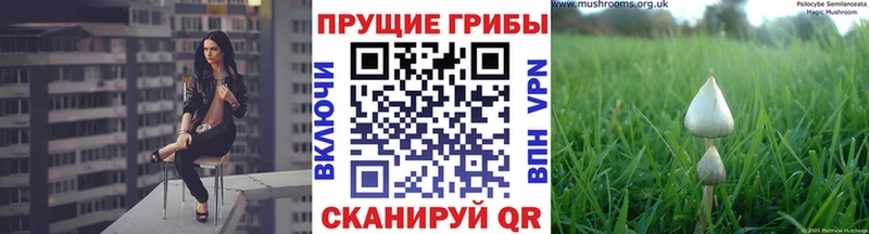 Псилоцибиновые грибы ЛСД  Купить  Бакал 